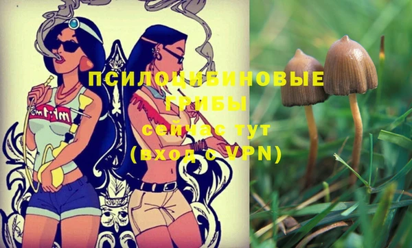 синтетический гашиш Михайлов
