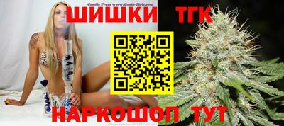 стаф Лесосибирск